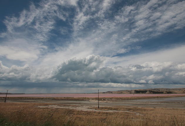 Discover a seaside lake with large pink ponds and mounds that sparkle white against summer?s light-brown, hillside pastures.