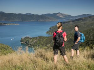 Queen Charlotte Track