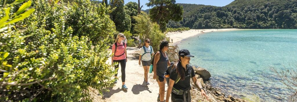 Wilson’s Walk, Abel Tasman National Park