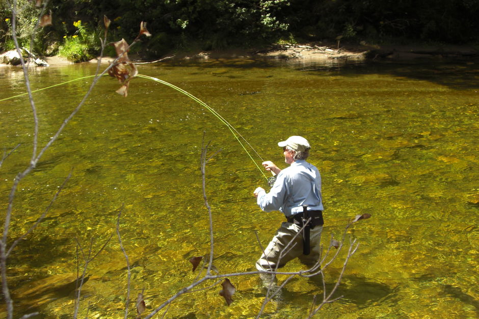 Fishing in the Motueka area