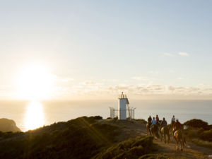 Golden Bay is a land of limestone, outdoor adventures, art and fantastic seafood.