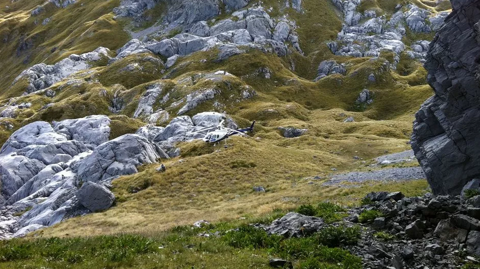 The Nelson region is home to both Mt Olympus (South of Rivendell) & Mt Owen (Dimrill Dale).