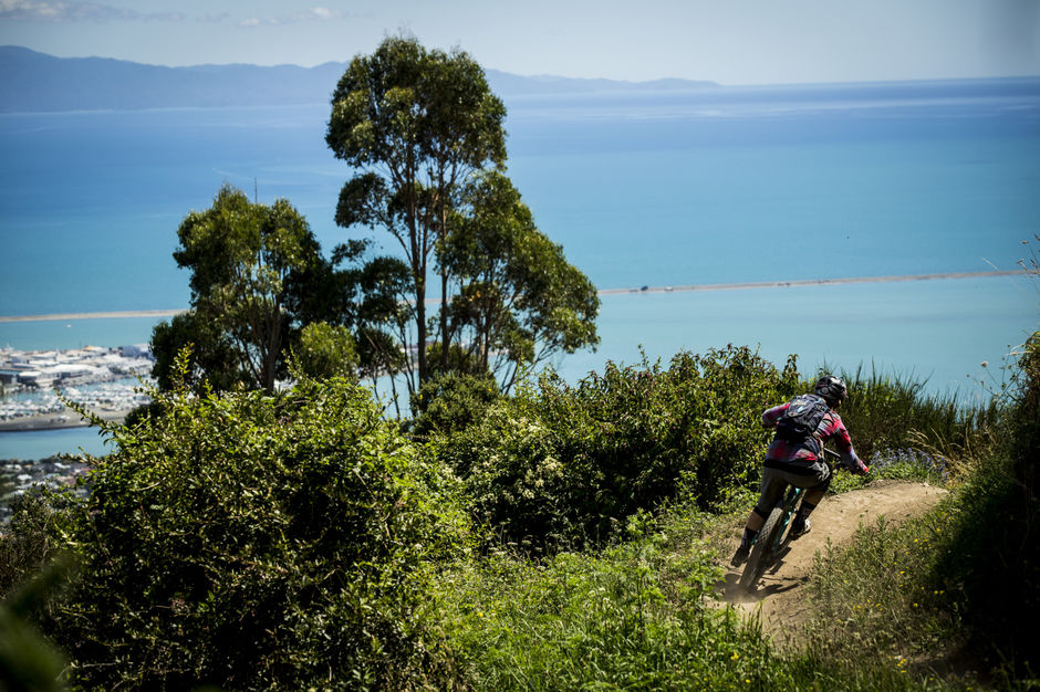 The Dun Mountain Trail is only 15 mins by bike from Nelson.