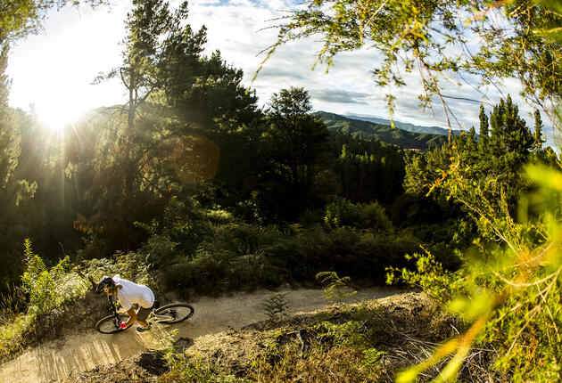 For trail maps, ride tips, bike hire and repairs, head to one of Nelson’s local bike shops.