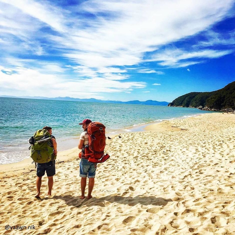 The Abel Tasman National Park features stunning coastal tracks, including the Abel Tasman Coastal Walk - a New Zealand Great Walk.