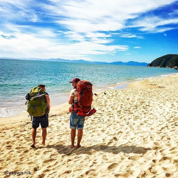 The Abel Tasman National Park features stunning coastal tracks, including the Abel Tasman Coastal Walk - a New Zealand Great Walk.