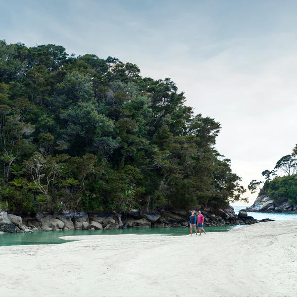 Folge im Abel Tasman Nationalpark einem Pfad, der nur von deinen Füßen kreiert wurde.