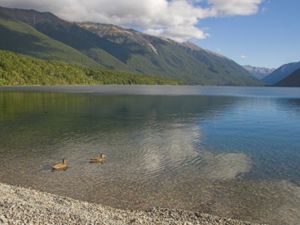 A view of Lake Rotoiti, looking southwards.