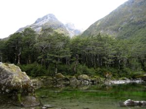 Blue Lake Nelson