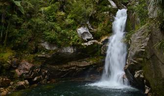 Wainui Falls Track