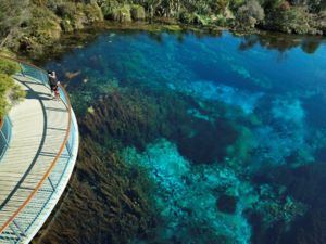 Te Waikoropupu Springs, Nelson