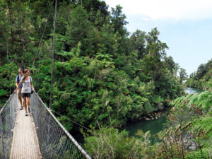 At the very top of the South Island, explore the beautiful beaches, impressive rock formations and cheeky wildlife of Abel Tasman National Park.