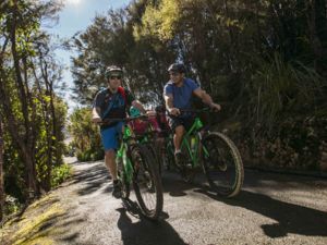 Mountain biking in Kaiteriteri