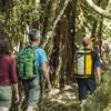 Hiking Abel Tasman National Park