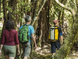 Hiking Abel Tasman National Park