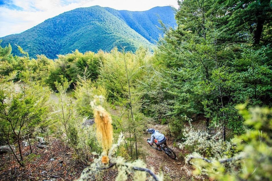 Wairoa Gorge Mountain Bike Park climbs to 1200m, offering epic views.