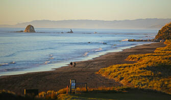 Mangawhai Cliffs Walkway