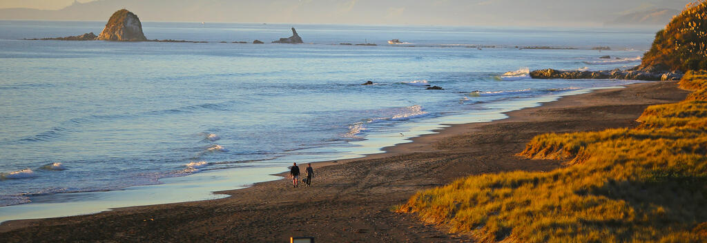 Mangawhai Cliffs Walkway