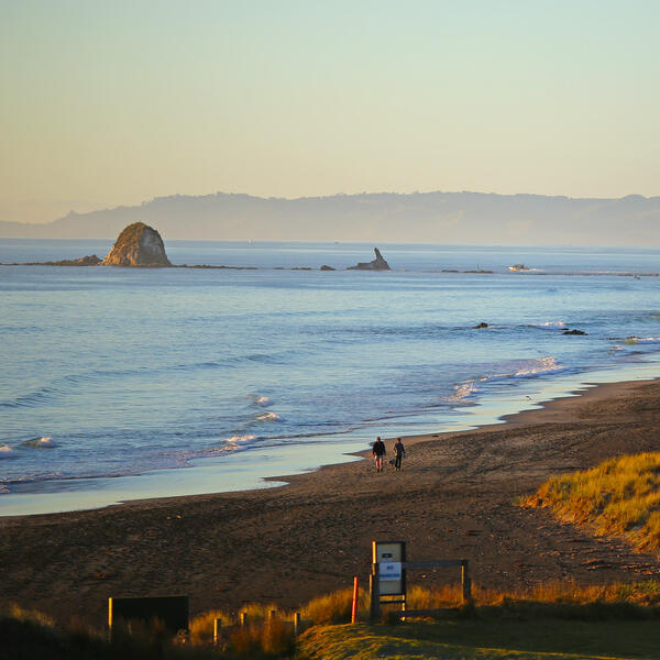 Mangawhai Cliffs Walkway