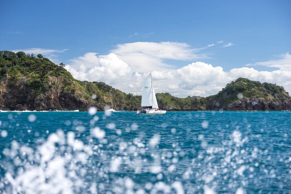 Barefoot Sailing Adventures, Paihia