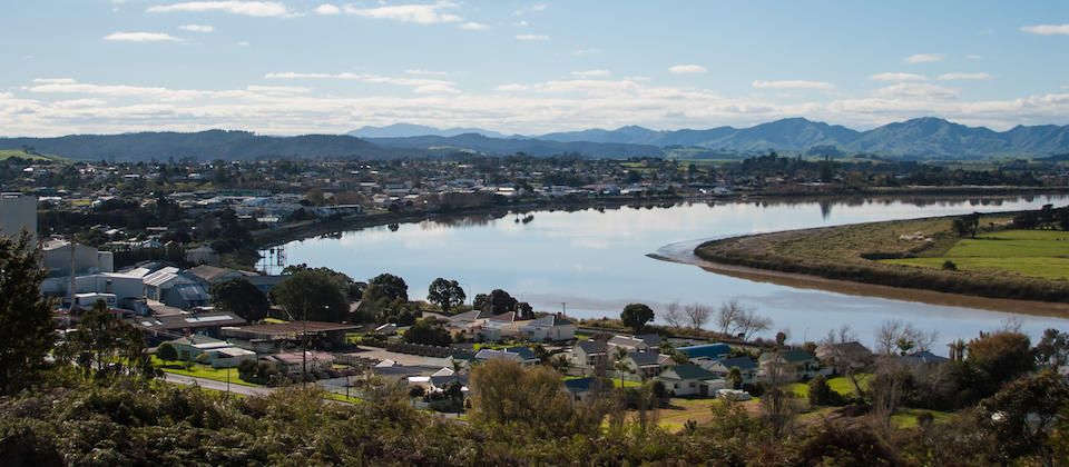 Kauri Coast in New Zealand | Things to see and do in New Zealand