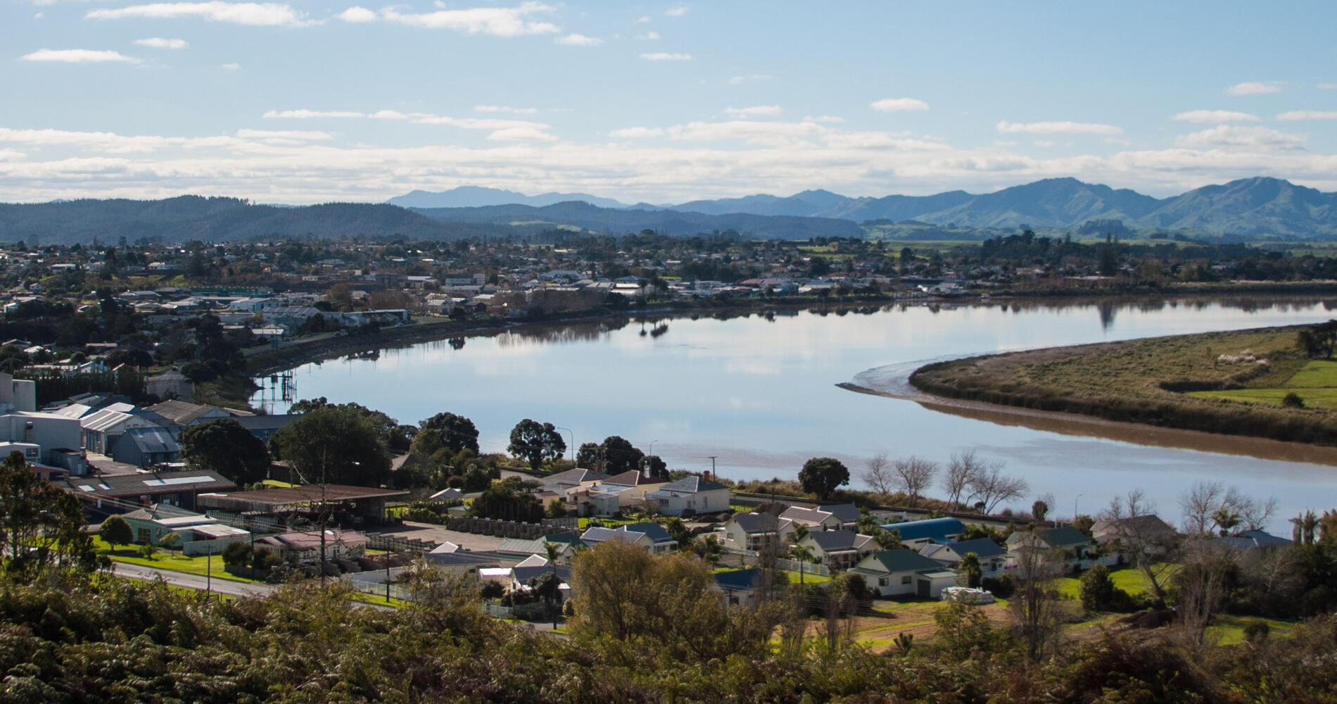 Kauri Coast in New Zealand | Things to see and do in New Zealand