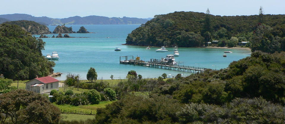 Urupukapuka Island Archaelogical Walk | Northland & Bay of Islands, New ...