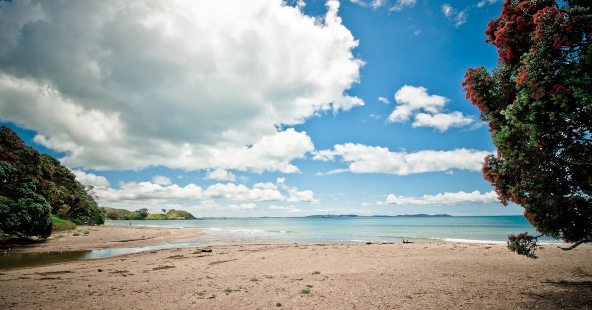 doubtless-bay-northland-bay-of-islands-new-zealand