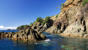 Goat Island New Zealand Map Goat Island Marine Reserve | Auckland, New Zealand