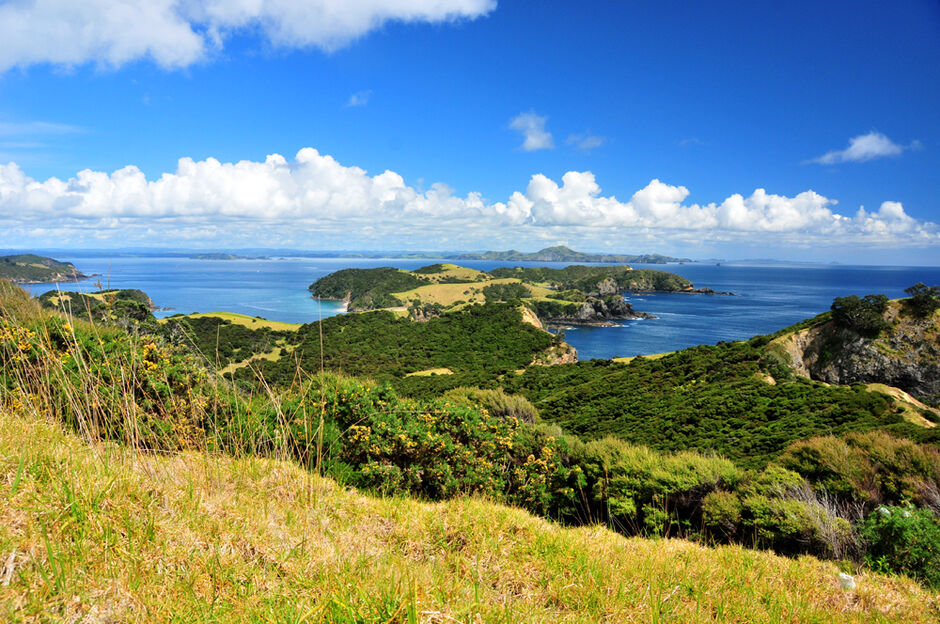 Urupukapuka Island is shaped like a five-fingered star.