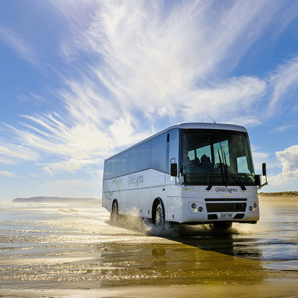 Ninety-Mile Beach is the fabled strip of sand in New Zealand's North Island. The beach is also an official highway.