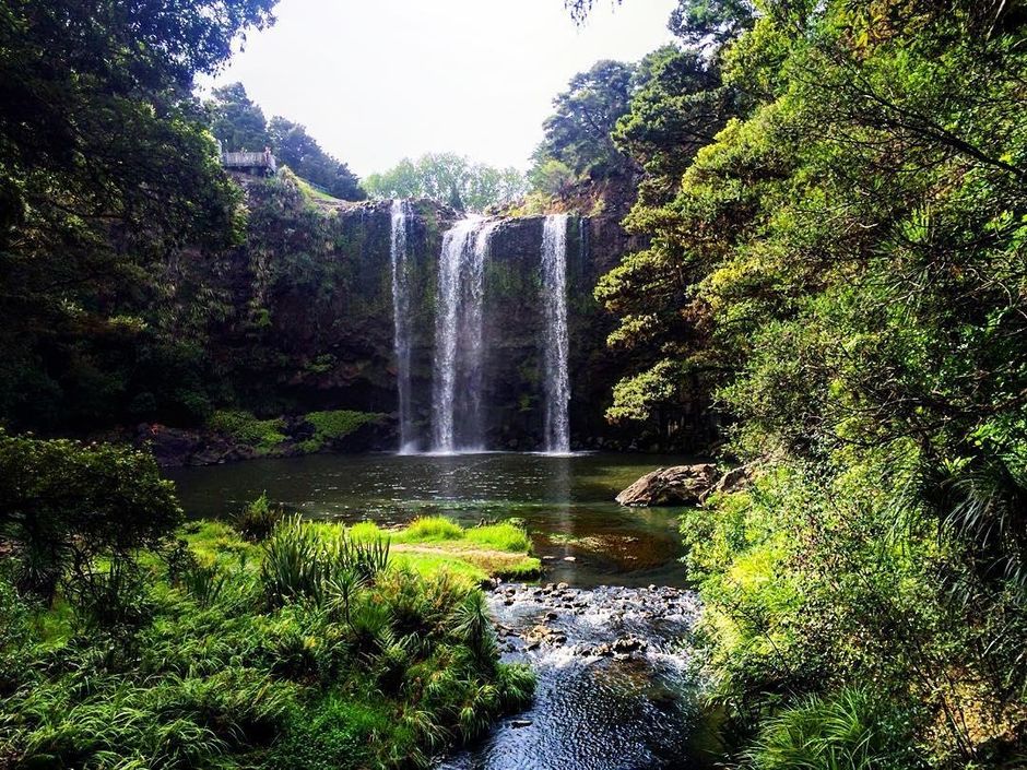 Whangārei Falls