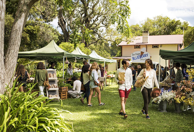 If you want to discover the coves and beaches of the Bay of Islands, Paihia is the perfect place to start. Cruises of all types leave from the wharf daily.