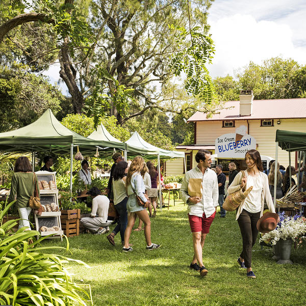 Wochenmarkt in Paihia.