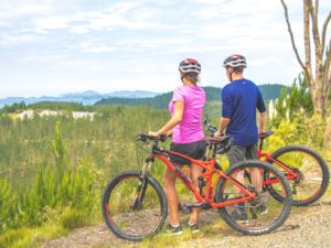 Waitangi Mountain Bike Park