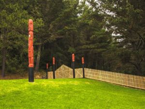 Waitangi Mountain Bike Park