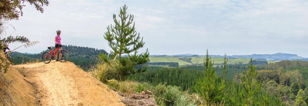 Waitangi Mountain Bike Park