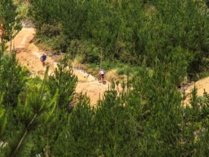 Waitangi Mountain Bike Park