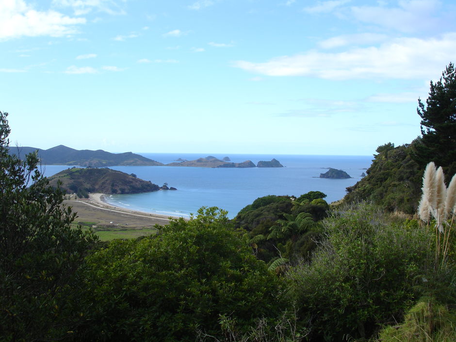 The Cavalli Islands sit in Matauri Bay known for its long golden sandy beach.