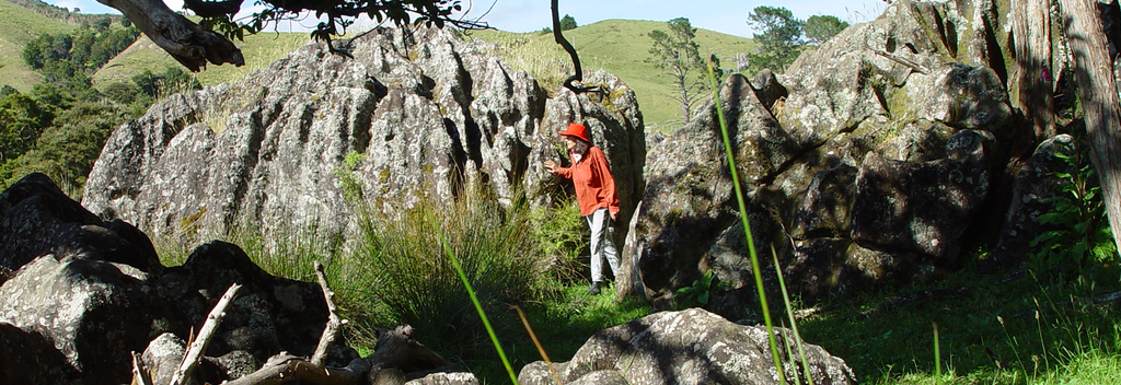 Wandering among the Wairere Boulders