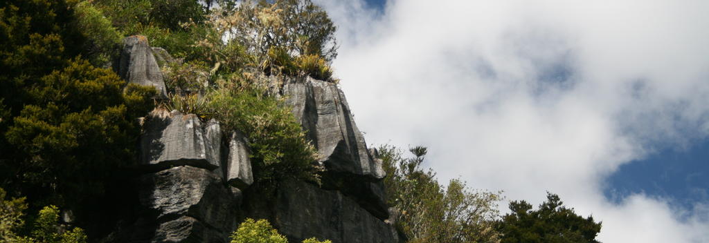 Rocky outcrops, twinkling glow worms, stalactites and more