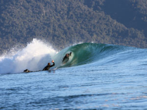 Surfing In New Zealand Things To See And Do In New Zealand