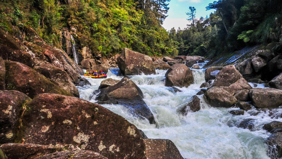 White Water Rafting in Tauranga - The Wairoa River with Kaituna ...