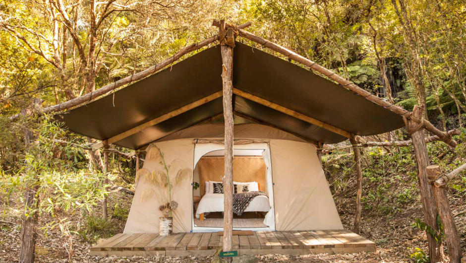 Canopy Camping Escapes - Kanuka | Accommodation in Rotorua, New Zealand