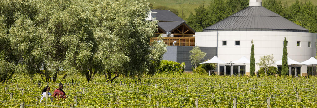 Couple exploring the vineyard on Craggy Range Winery in New Zealand