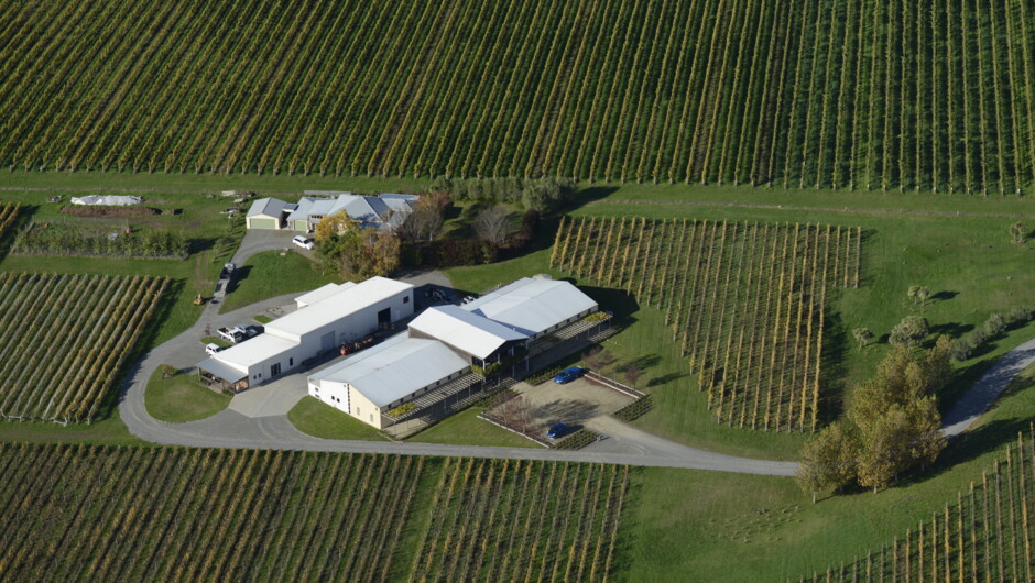 FROMM Winery Cellar Door Activity in Marlborough New Zealand