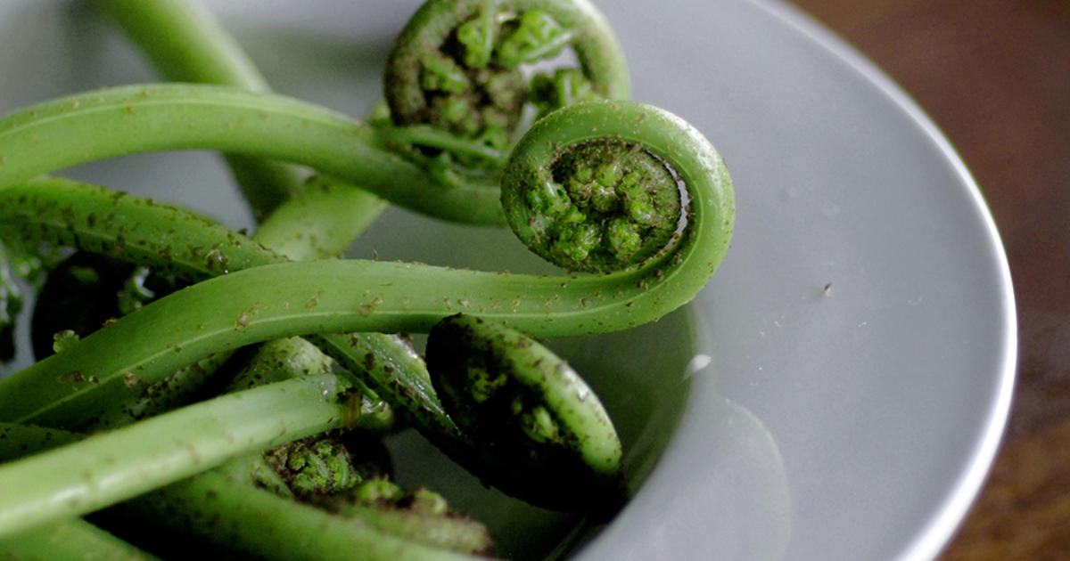 Traditional Māori foods  100% Pure New Zealand