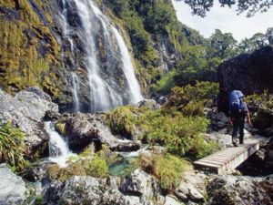 Routeburn hikers