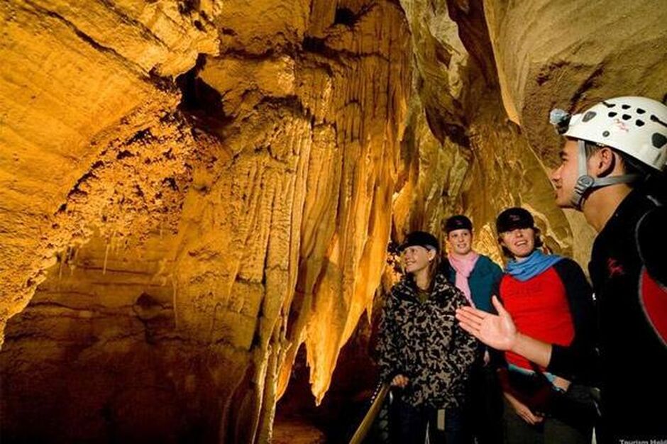 Explore Waitomo Caves, a day trip from either Auckland or Rotorua