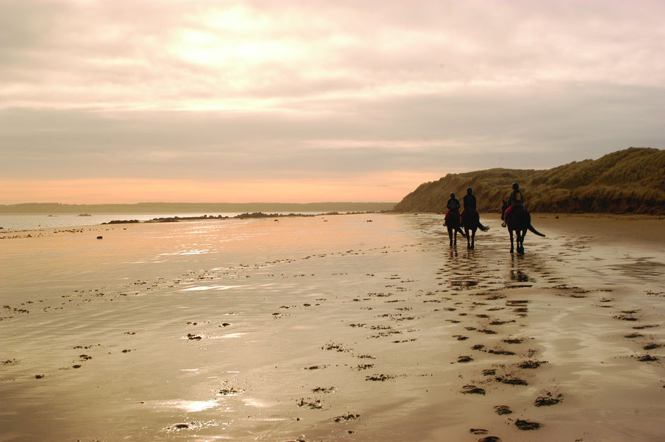 Horses on Oreti Beach